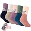 Multicolor-Lying Cat-1