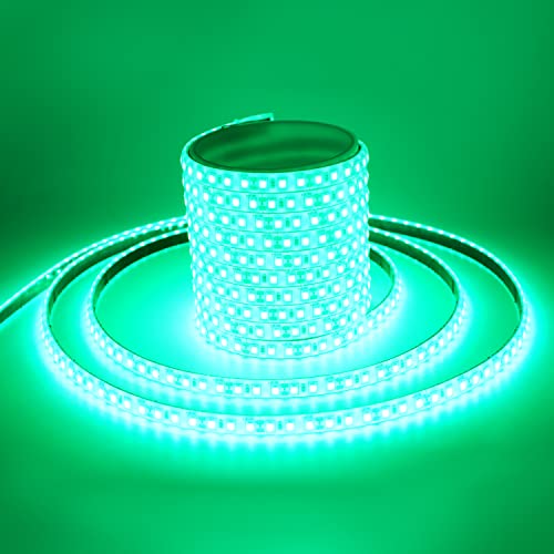 Everbright Green Led Strip Lights,16.4Ft / 5M 600 Smd Waterproof Ip68 Flexible Decoration For Cars Motorcycle Stage Wedding Party Event Garden Underwater Outdoor Indoor,No Power Adapter #TOP11