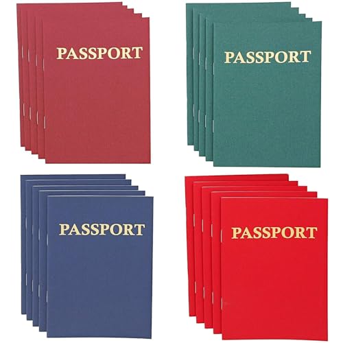 Carnet de passeport vierge multicolore à offrir pour petits explorateurs