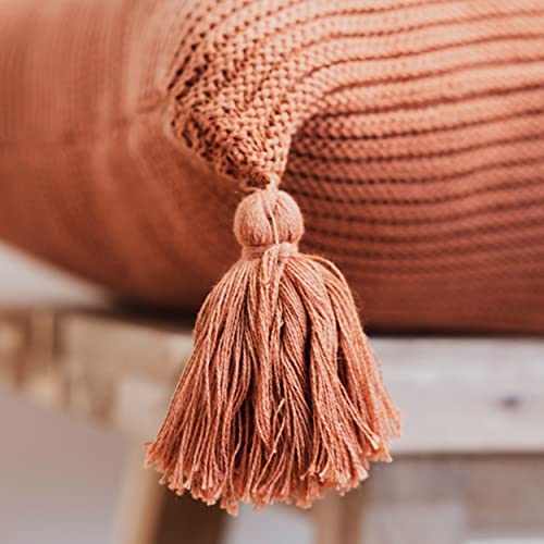 Lumi Living 100% Soft Cotton Raised Stripes Textured Rib Knit Throw Pillow Cover With Tassels (18X18, Rust) #TOP3