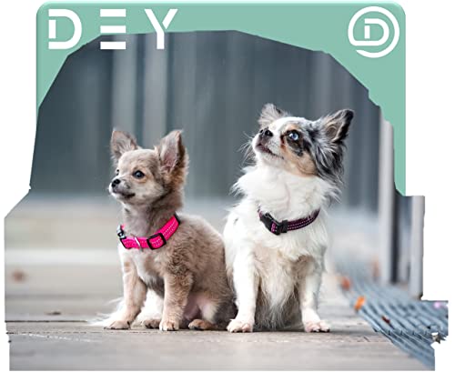 DEY - Premium Hundehalsband Nylon, Reflektierend, Verstellbar, für Kleine u. Große Hunde, viele Farben u. Größen, Hund Welpe, Hunde-Halsbänder, Katzen-Halsband, Welpen-Halsband, Grün, S