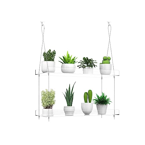 ZerzSemp 2-Tier Hanging Clear Plant Shelves for Windows, Acrylic Window Wall Plant Stand Shelf for Kitchen Indoor Gardens, Flower,Herb, Seedling Organization, and Pots Display, 16 Inch per Tier
