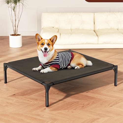 Lit surélevé pour chien idéal dans le salon pour les grands chiots