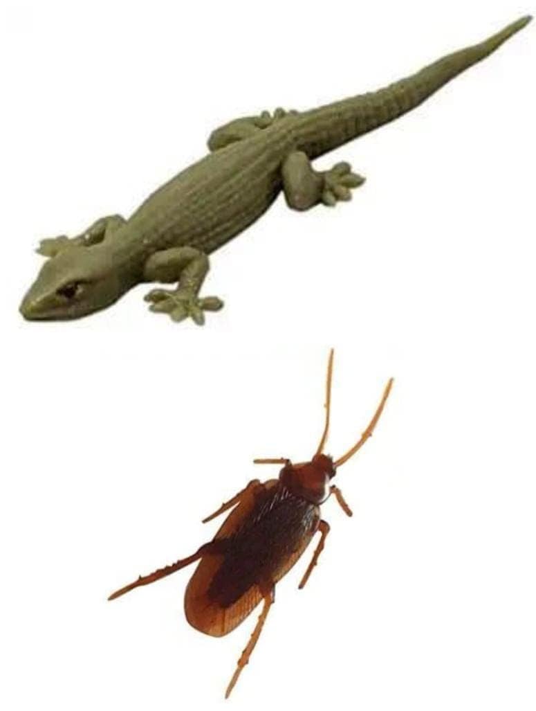 ROCK WORLD (Fake Cockroach and Lizard Fun Prank Toys for Kids and Adult Rubber Practical Jokes and Trick Toys Orignal Looks (Brown) (Pack of 1 Cockroach, 1 Lizard)-image-25