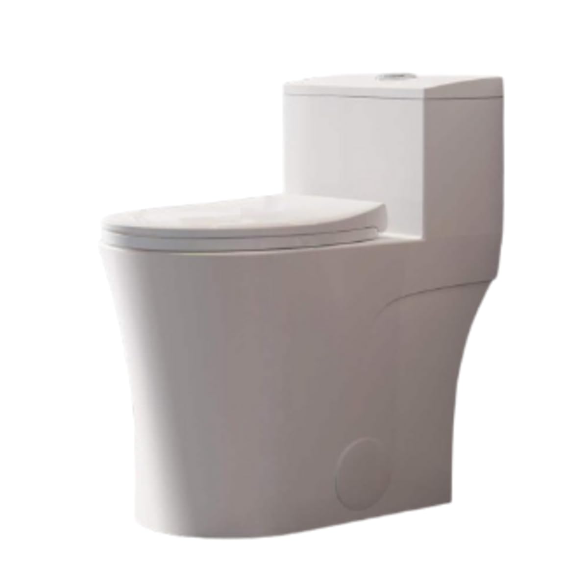 HOROW Inodoro alargado de una sola pieza de 10 pulgadas, 0.8/1.28 GPF de doble descarga en blanco, inodoro WaterSense de alta eficiencia HR-0038W-10