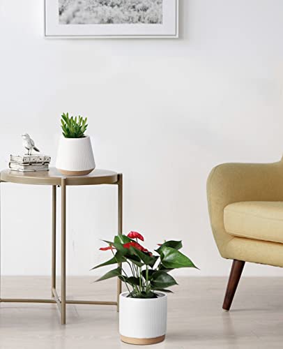 Ladovita Ceramic Pots For Indoor Plants, 5.5 Inch Cone & 6.5 Inch Round Flower Pots, Ceramic Planter Set Of 2 Unique Shape Plant Pots, Outdoor Indoor Garden Decorative Planters, White Vertical Stripes #TOP5