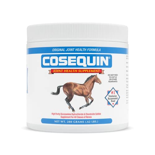 Nutramax Cosequin Original Joint Health Supplement for Horses - Powder ...