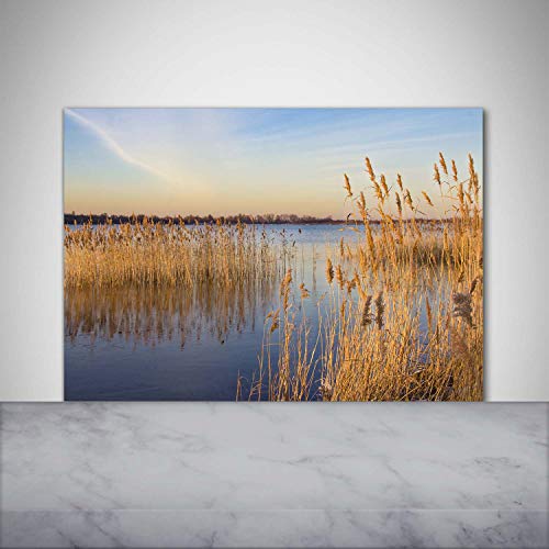 Panel de Vidrio para Cocina Tulup 100x70cm Protector Antisalpicaduras Beige 3
