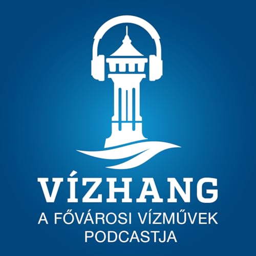 V&iacute;zvesztes&eacute;g-elemz&eacute;s, rejtett csőt&ouml;r&eacute;sek &eacute;s a csőt&ouml;r&eacute;shang - Interj&uacute; Vasas Tam&aacute;ssal