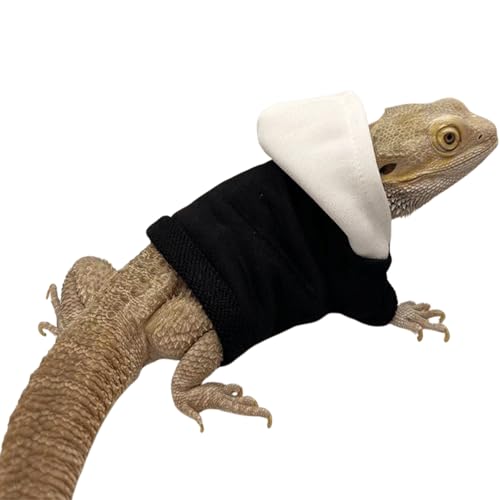 Roupas de lagarto para dragões barbudos feito à mão material de tecido com capuz suéter casaco répti