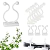 BEIFON 200PCS Climbing Plant Clips Self Adhesive Climbing Plant Wall Fixture Invisible Vines Fixture Cable Tie Clips Hook Holder Vine Traction for Gardening Indoor Plant Supporting Decoration
