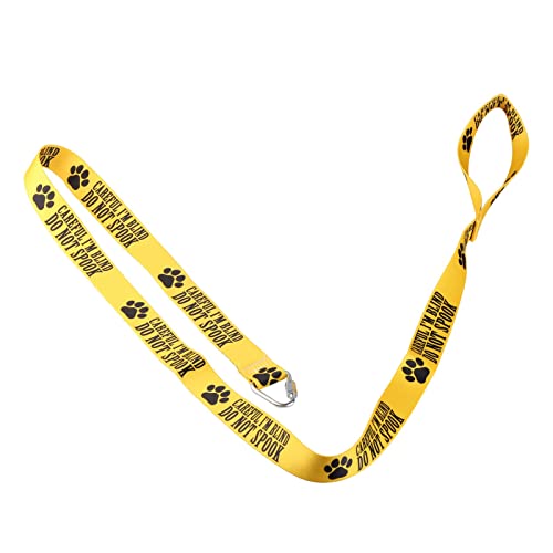 Visual Impairment Dog Leash - Careful I'm Blind, Do Not Spook - Walking Training Leash for Pet Owners (Careful I'm Blind-YE) - Image 4