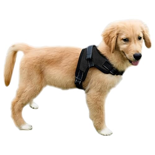 Copatchy No Pull Reflective Adjustable Dog Harness with Handle- Comfortable Soft All Weather Mesh, Easy On Puppy Harness for Small Medium and Large Dogs (Black) XX-Small