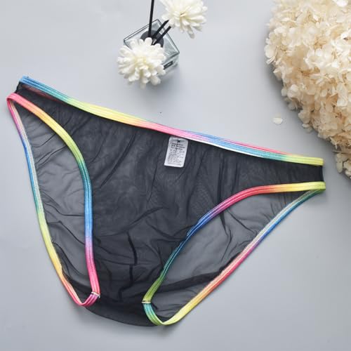Mens Sexy See Through Briefs Rainbow Gay Pride Lingerie for Men Mesh Sheer Underwear Naughty Panties2