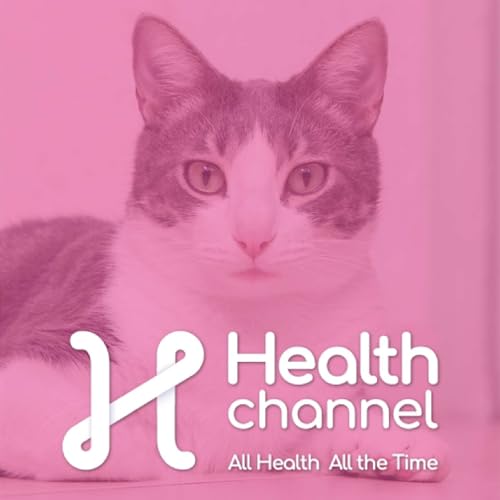 Why Is My Pet Limping? Orthopedic Issues You Shouldn&rsquo;t Ignore