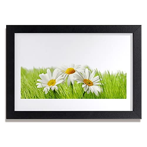 Affiche avec cadre marguerite 30x20 cm pour sublimer les murs du salon et de la cuisine