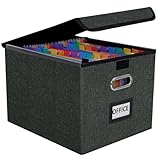 Fuonsyn File Organizer Box with 25-Pocket Accordion Folder, File Folder & Protective Lid - Document Storage for Home, Office, School, Dark Grey