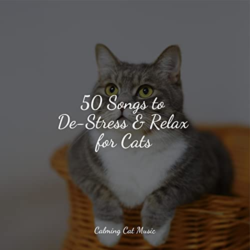 50 Songs to DeStress & Relax for Cats Cat Music Therapy