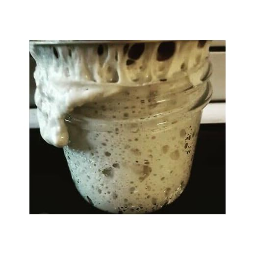 WWJD 233yr Old Verified Heritage San Francisco Sourdough Starter