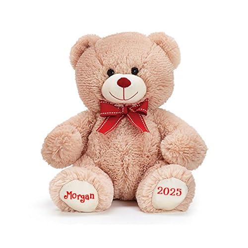 burton+BURTON Personalized Valentine's Day Teddy Bear - Plush Stuffed Animal Toy with Custom Name