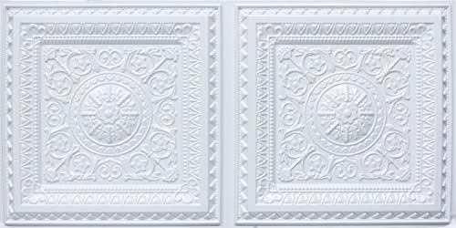 Economy 2 ft. x 4 ft. PVC Lay-in Ceiling Tile Pack of 10