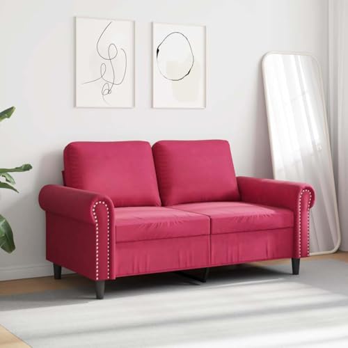 Sofá de 2 plazas de terciopelo rojo tinto de 120 cm para salones estrechos 3