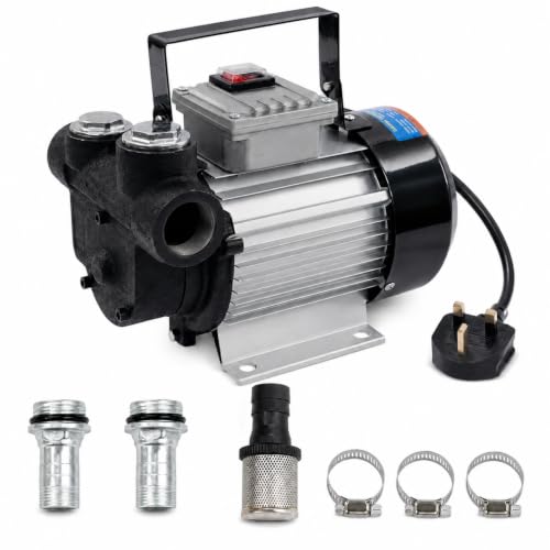Image of Diesel Transfer Pump 550W 60L/min, 240V, Cast Iron Fuel Pump for Vehicles, Agricultural & Construction Machinery, Storage Tanks