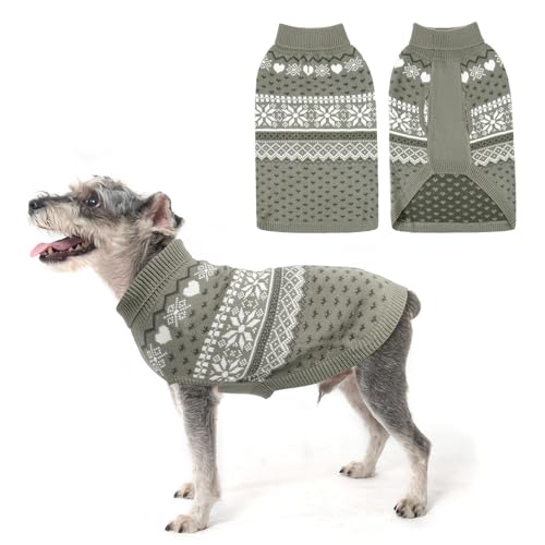Should you put a sweater on your dog