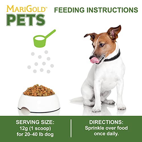 Image of MariGold JIG for Dogs - Joint, Immunity, Gut Support & Collagen for Dogs - Non-GMO, Organic Peanuts, Organic Hemp, Grain and Soy Free - 1.19 LBS (Medium)