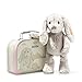 Steiff Kuscheltier Hase Hoppie im Koffer, Süßes Stofftier, Jungen, Mädchen & Babys ab 0 Monaten, 26 cm, Soft Cuddly Friends Hase, 080968