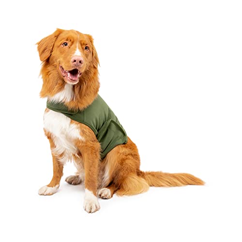 Mellow Shirt Dog Anxiety Calming Wrap, Medium, Cypress #TOP10