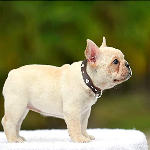 Pet Artist Luxury Genuine Leather Dog Collar-Handmade For Small/Medium Dog Breeds With The Finest Real Leather-Full Grain Latigo Leather And Stylish Strong Dog Collar #TOP4