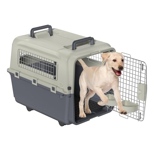 Eldzenith Katzentransportbox, Transportbox Hund mit Sicherheitsverriegelung und LüFtungsgitter, katzenbox für Flugreisen mit Urinbarriere Schalen FressnäPfe und Tragegriff(S, 50×33×33cm)