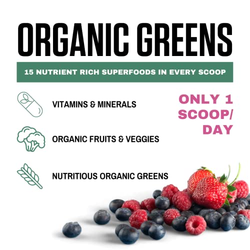 Vedge Nutrition Organic Greens | Vegan Plant-Based Greens Superfoods Powder | Energy, Antioxidants & Recovery | Full Spectrum Greens For Athletes | Mixed Berry, 30 Servings #TOP2