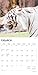 White Tigers | 2026 12 x 24 Inch (Hanging) Monthly Square Wall Calendar | Plastic-Free | BrownTrout | Wildlife Zoo Animals