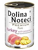 DOLINA NOTECI