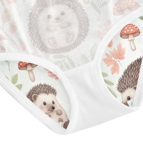 Cute Hedgehogs Poses Girls Briefs, Toddler Girl Panties, Cotton Underwear Girls, 2–8 Years4