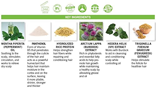 Rodante Beverly Hills Tea Tree Conditioner |Peppermint Conditioner For Dry Hair Moisturizer| 2 In 1 Shave Lotion |Alcohol + Gmo + Paraben Free |Essential Hair Conditioner For Damaged Dry Hair #TOP1