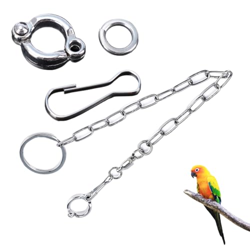 Cadena de pie de Acero Inoxidable, Pájaros Cadena de pie de Acero Inoxidable Loro Tobillera Cadena arnés de Entrenamiento, Dividido de Acero Inoxidable para Loros domésticos, Aves, Mascotas