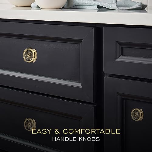 LAPO 20 Piece Drawer Knobs for Home & Office – Door Knob for Cabinets, Cupboards & Dressers (Material-Zinc, Antique Finish)