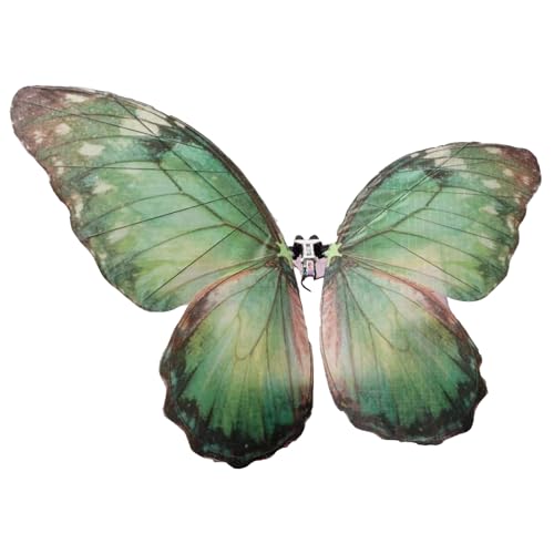 Large Bionic Butterfly RC Aircraft,31.5 inches Huge Wingspan Remote Control Flapping Wing Flyer, 2.4GHz 4-Channel Realistic Flight Drone, Unique Outdoor Toy Gift for Kids & Hobbyists (Green)
