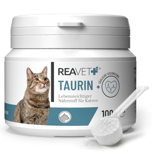 ReaVET Taurin für Katzen Pulver 100g Essenzielle Aminosäure für Herz Augen & Immunsystem 100% rein ohne Zusatzstoffe Futterzusatz für Katzen