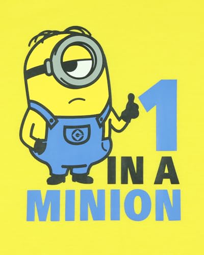 Minions Boys' Pajamas One In A Minion Sleep Shirt and Pant 2 Piece Sleep Set4