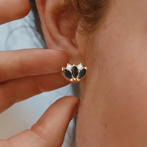 FETTERO Stud Earrings for Women - 14K Gold Plated CZ Hypoallergenic Earrings Studs Dainty Black CZ Leaf Gold Earrings for Women Trendy Statement Jewelry