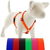 LupinePet Waterproof Splash Adjustable Dog Harness, Neon Orange, 3/4-inch Wide, Girth adjusts 20-32", Made with BioThane