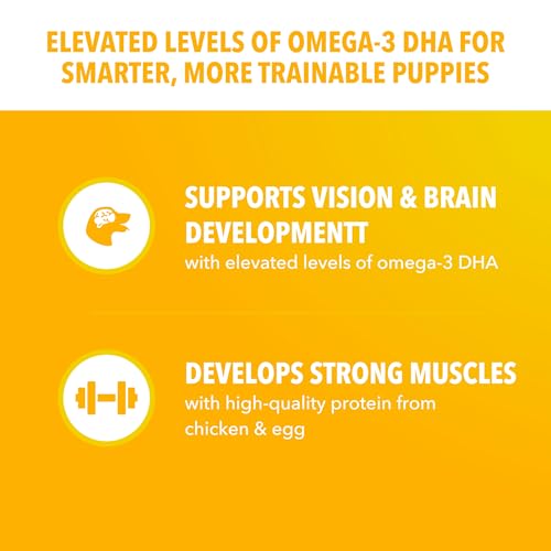 IAMS Proactive Health Dry Puppy Food Chicken, 5 lb. Bag