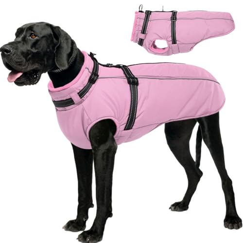 Lelepet ^ppR[g hpWPbg n[lXt ˃t[XWPbg Wbvt h h R[g pK T[}ybgXm[X[cAC}i[AsNAXXL