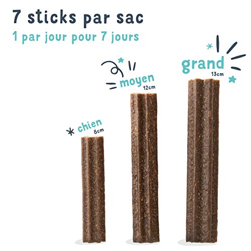 Edgard Cooper Leckerli für Hunde, (Eukalyptus & Apfel, 7 Sticks x 8), groß, Einer pro Tag, kalorienarm, langes, effizientes Kauen, frischer Atem