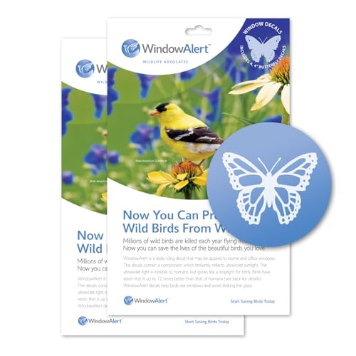 WindowAlert Butterfly Anti-Collision Decal - UV-Reflective Window Decal to Protect Wild Birds from Glass Collisions, 2-Pack - Made in The USA