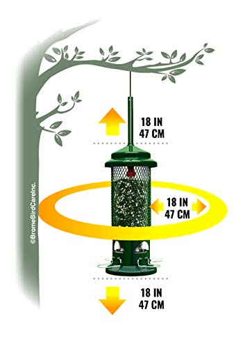 Squirrel Solution200 Squirrel-Proof Bird Feeder w/6 Feeding Ports, 3.4-Pound Seed Capacity & Squirrel Buster Standard Squirrel-Proof Bird Feeder w/4 Metal Perches, 1.3-Pound Seed Capacity